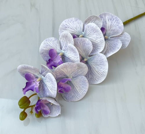 غصن ورد رقم ( 4 ) اوركيد ملمس طبيعي