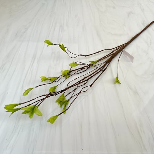 غصن خضار رقم ( 13 ) - بني