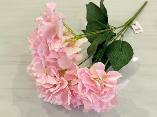 ربطة ورد ( 1 ) هيدرنجا