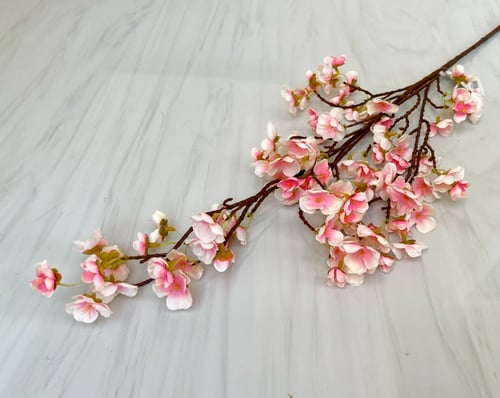 غصن ورد رقم ( 14 )