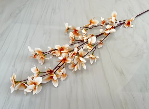 غصن ورد رقم ( 55 )