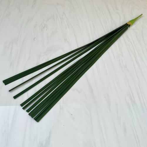 غصن خضار رقم ( 11 )