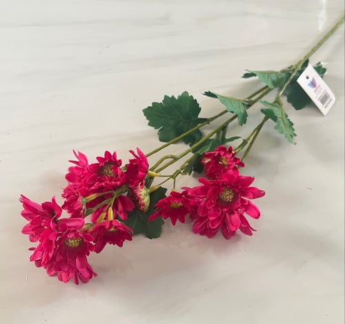 غصن ورد ( 11 )