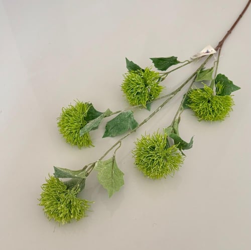 غصن خضار ( 27 )