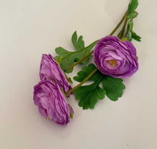 غصن ورد ( 69 )