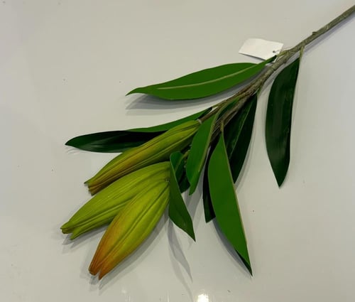 غصن خضار ( 32 )