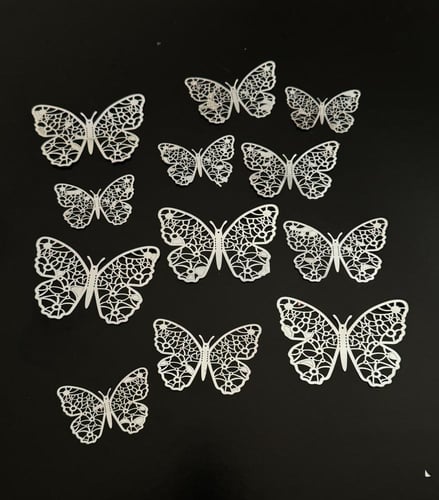 فراشات متنوعة رقم ( 22 )