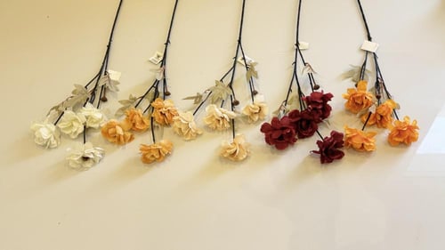 غصن ورد رقم ( 23 )