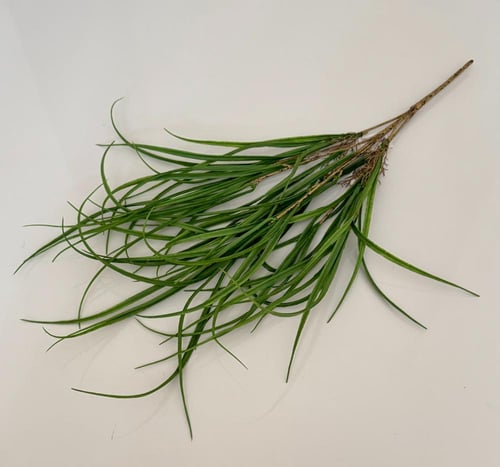 ربطة خضار ( 20 )