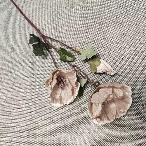 غصن ورد ( 71 )