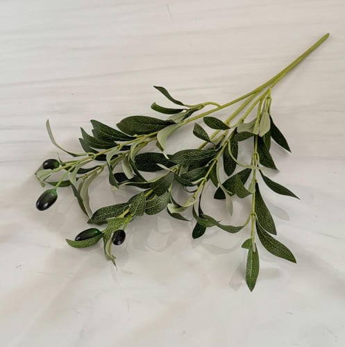 غصن خضار رقم ( 10 )