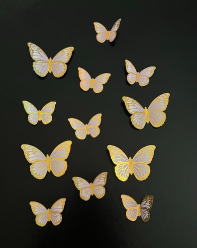 فراشات صغيرة رقم ( 21 )