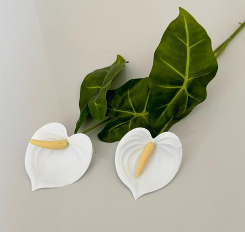 غصن ورد ( 33 )