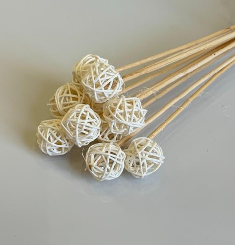 غصن مجفف رقم ( 8 )