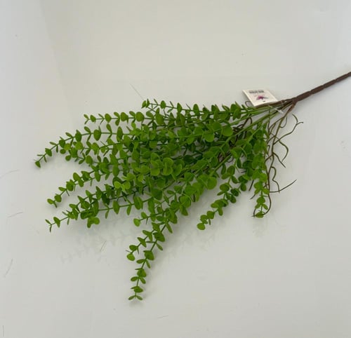 ربطة خضار ( 15 )