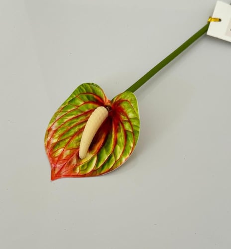 غصن ورد ( 32 )