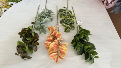 غصن خضار رقم ( 9 ) هاي كوالتي