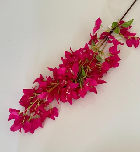 غصن ورد رقم ( 25 ) جهنمية