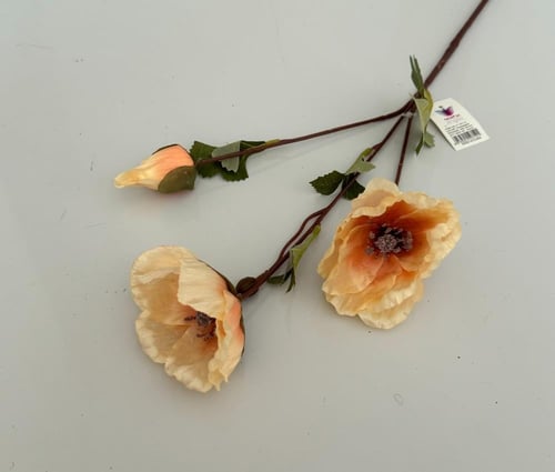 غصن ورد ( 71 )