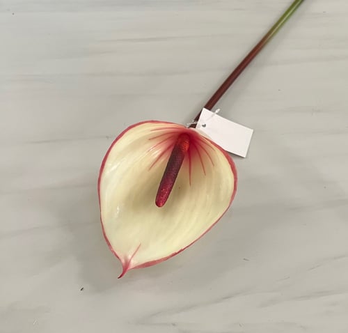 غصن ورد رقم ( 56 ) انثوريوم ملمس طبيعي