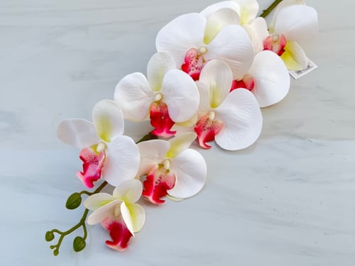 غصن ورد رقم ( 30 ) أوركيد ملمس طبيعي