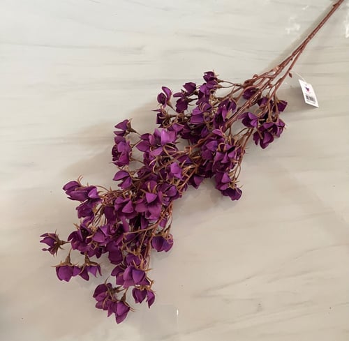 غصن ورد ( 21 )