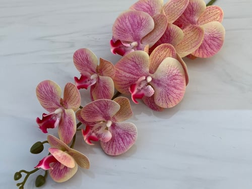 غصن ورد رقم ( 30 ) أوركيد ملمس طبيعي