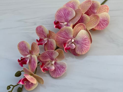 غصن ورد رقم ( 30 ) أوركيد ملمس طبيعي