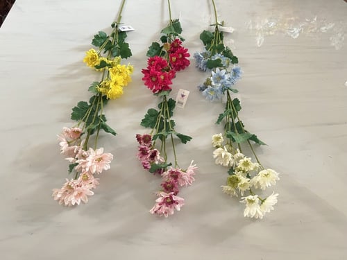 غصن ورد ( 11 )