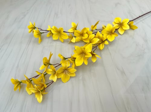 غصن ورد رقم ( 55 )