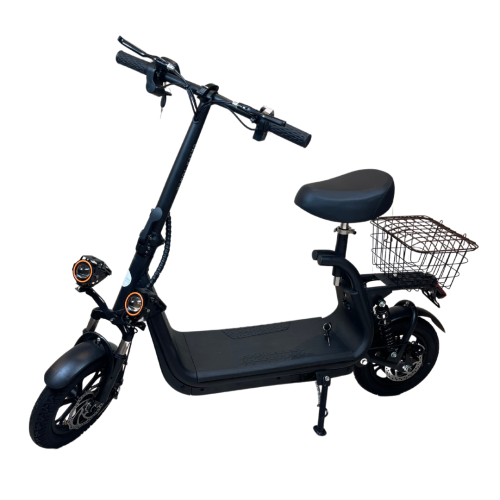 إسكوت سلة 2025