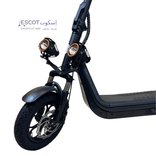 إسكوت سلة 2025