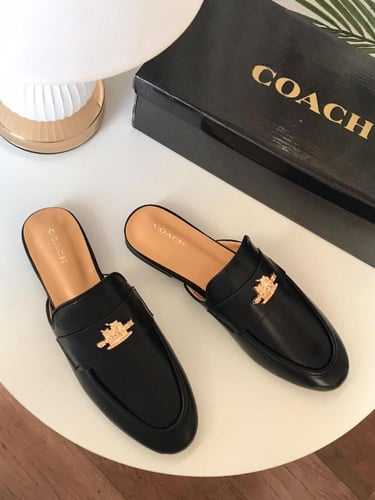 سليبر كوتش درجة أولى