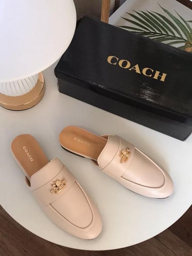 سليبر كوتش درجة أولى