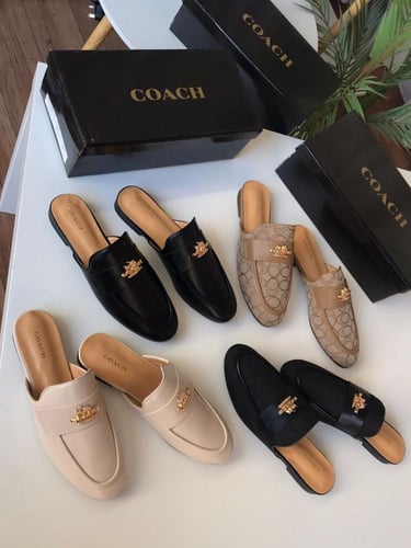 سليبر كوتش درجة أولى