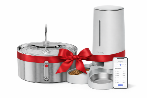 باكج التغذية الاساسي