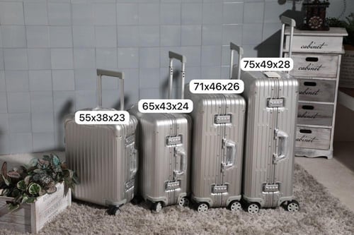 حقيبة ريموا تشيك إن L