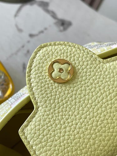 حقيبة كابوسين ميني 21 سم من لويس فيتون