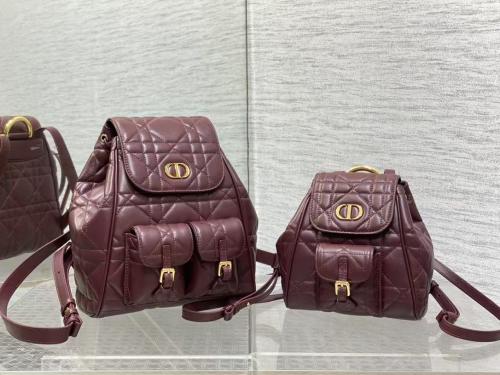 حقيبة ظهر ديور كارو بشعار CD