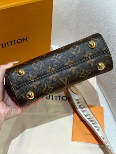 حقيبة كلوني ميني 20 سم من لويس فيتون