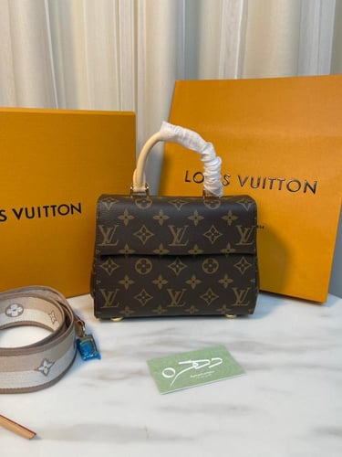 حقيبة كلوني ميني 20 سم من لويس فيتون