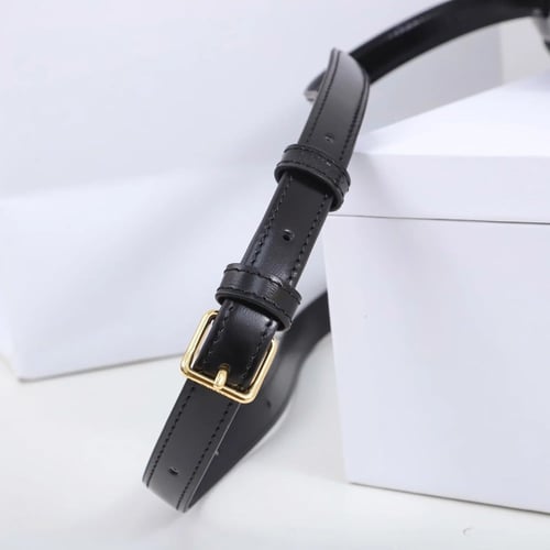 شنطة سيلين Mini Triomphe