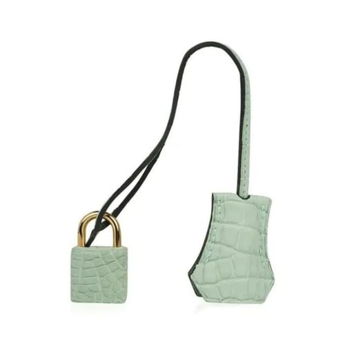 حقيبة بيركين فيرت دو بطبعة جلد التمساح غير اللامع...