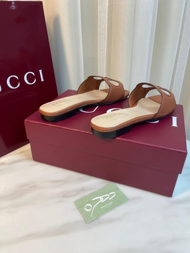 سليبر قوتشي جي جي كت آوت - هافان