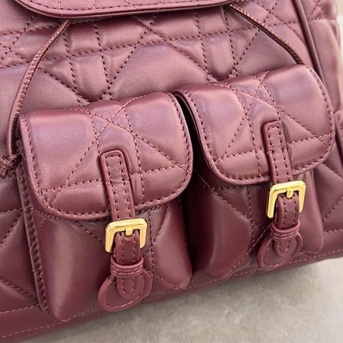 حقيبة ظهر ديور كارو بشعار CD