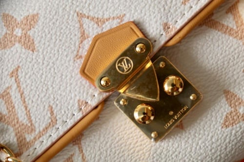 حقيبة بوكيت كاميل 20.5 سم من لويس فيتون