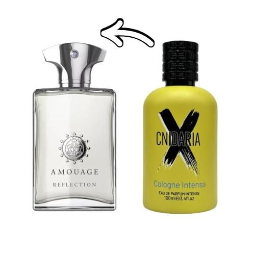 عطرصمام سنداريا اكس كولجن انتنس او دي بارفيوم انتن...