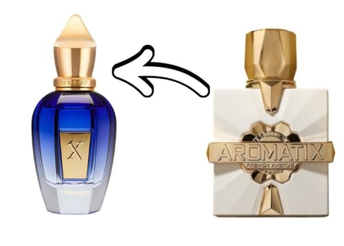 عطر فرنش افينيو اروماتكس بلاتين بلانك 100 مل