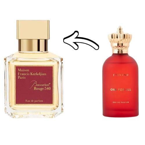 عطر ون فور اول من ستيفانو 100مل