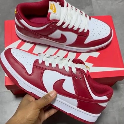 Nike Dunk Low Retro sneakers